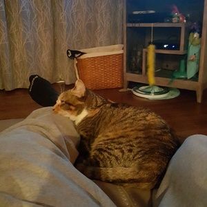 Meet your Posher, Tyler